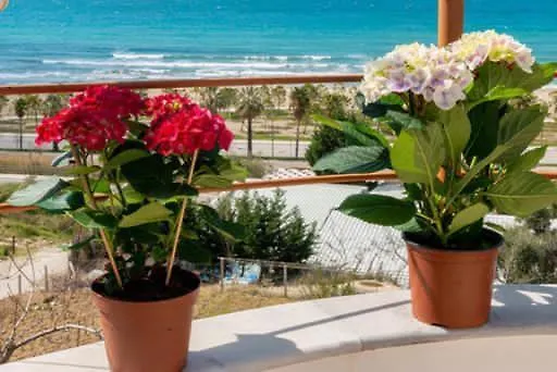 Inn Hotel Idi Vlore